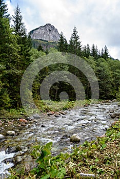 Slovakian carpathian mountains in autumn with green forests