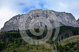 Slovakian carpathian mountains in autumn with green forests