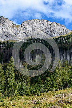 Slovakian carpathian mountains in autumn with green forests