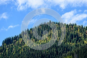 Slovakian carpathian mountains in autumn with green forests