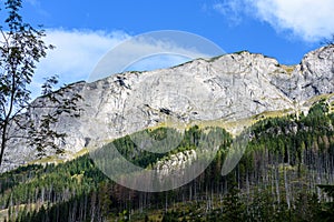 Slovakian carpathian mountains in autumn with green forests