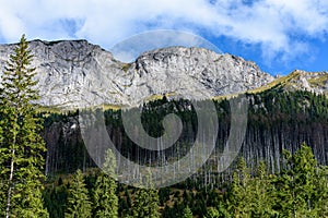 Slovakian carpathian mountains in autumn with green forests