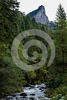 Slovakian carpathian mountains in autumn with green forests