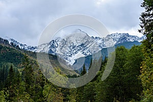 Slovakian carpathian mountains in autumn with green forests