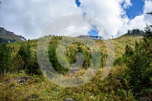 Slovakian carpathian mountains in autumn with green forests