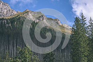 Slovakian carpathian mountains in autumn with green forests - vi