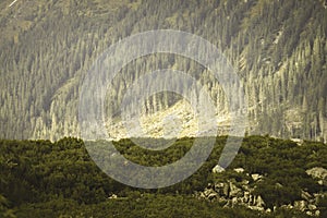 Slovakian carpathian mountains in autumn with green forests - vi