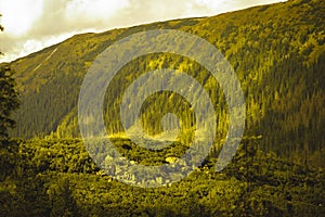 Slovakian carpathian mountains in autumn with green forests - vi