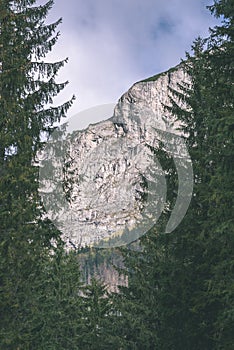 Slovakian carpathian mountains in autumn with green forests - vi