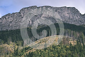 Slovakian carpathian mountains in autumn with green forests - vi