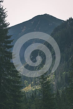 Slovakian carpathian mountains in autumn with green forests - vi