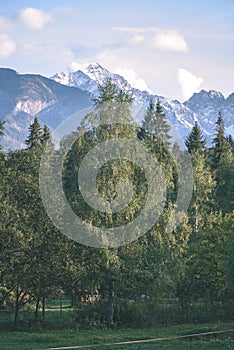 Slovakian carpathian mountains in autumn with green forests - vi