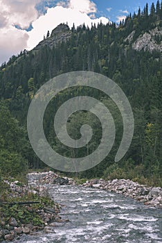 Slovakian carpathian mountains in autumn with green forests - vi