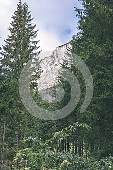 Slovakian carpathian mountains in autumn with green forests - vi