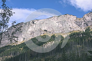 Slovakian carpathian mountains in autumn with green forests - vi