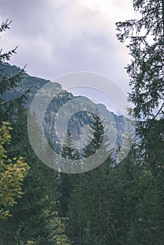 Slovakian carpathian mountains in autumn with green forests - vi