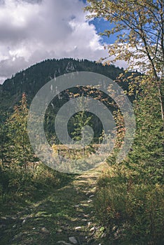 Slovakian carpathian mountains in autumn with green forests - vi