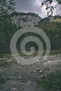 Slovakian carpathian mountains in autumn with green forests - vi