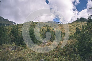 Slovakian carpathian mountains in autumn with green forests - vi