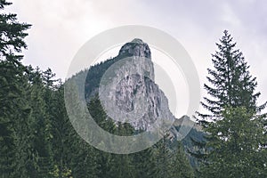 Slovakian carpathian mountains in autumn with green forests - vi