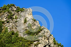 Slovakian carpathian mountains in autumn. green hills with tops