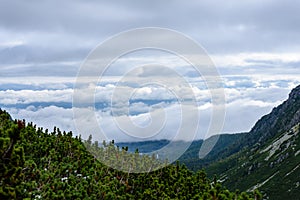 Slovakian carpathian mountains in autumn. green hills with tops