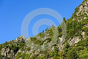 Slovenské Karpaty na jeseň. zelené kopce s vrcholmi