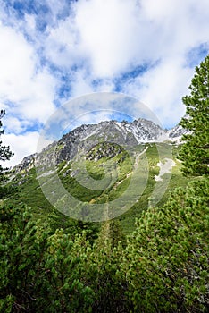 Slovakian carpathian mountains in autumn. green hills with tops