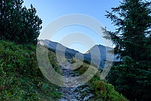 Slovakian carpathian mountains in autumn. hiking trail on top of