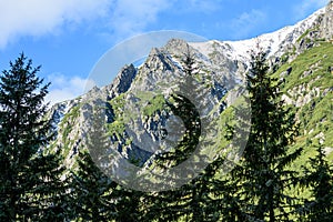 Slovenské Karpaty na jeseň. zelené kopce s vrcholmi