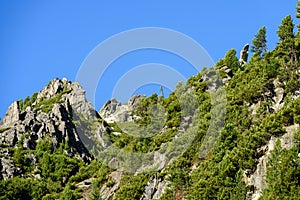 Slovenské Karpaty na jeseň. zelené kopce s vrcholmi