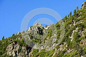 Slovenské Karpaty na podzim. zelené kopce s vrcholky