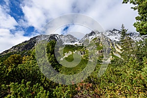 Slovakian carpathian mountains in autumn. green hills with tops