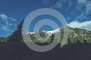 Slovakian carpathian mountains in autumn. green hills with tops