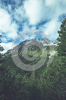 Slovakian carpathian mountains in autumn. green hills with tops