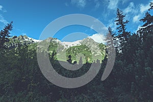 Slovakian carpathian mountains in autumn. green hills with tops