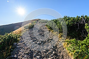 Slovakian carpathian mountains in autumn. hiking trail on top of