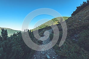 Slovakian carpathian mountains in autumn. hiking trail on top of