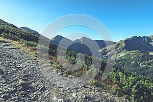 Slovakian carpathian mountains in autumn. hiking trail on top of