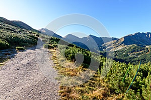 Slovakian carpathian mountains in autumn. hiking trail on top of