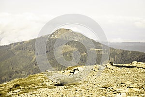 Slovakian carpathian mountains in autumn. - vintage film look