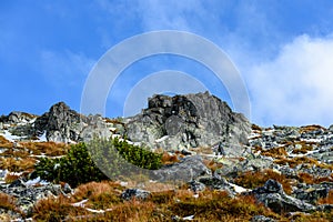 Slovakian carpathian mountains in autumn.