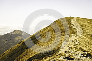 Slovakian carpathian mountains in autumn. - vintage film look