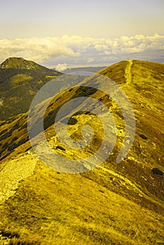 Slovakian carpathian mountains in autumn. - vintage film look