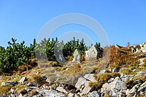 Slovakian carpathian mountains in autumn.