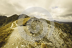 Slovakian carpathian mountains in autumn. - vintage film look