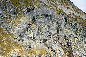 Slovakian carpathian mountains in autumn. rock textures on walls