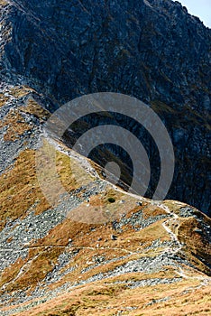 Slovakian carpathian mountains in autumn. rock textures on walls