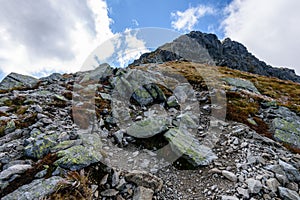 Slovakian carpathian mountains in autumn. rock textures on walls