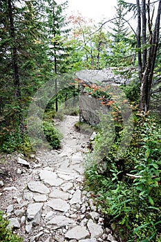 Slovenské Karpaty na podzim